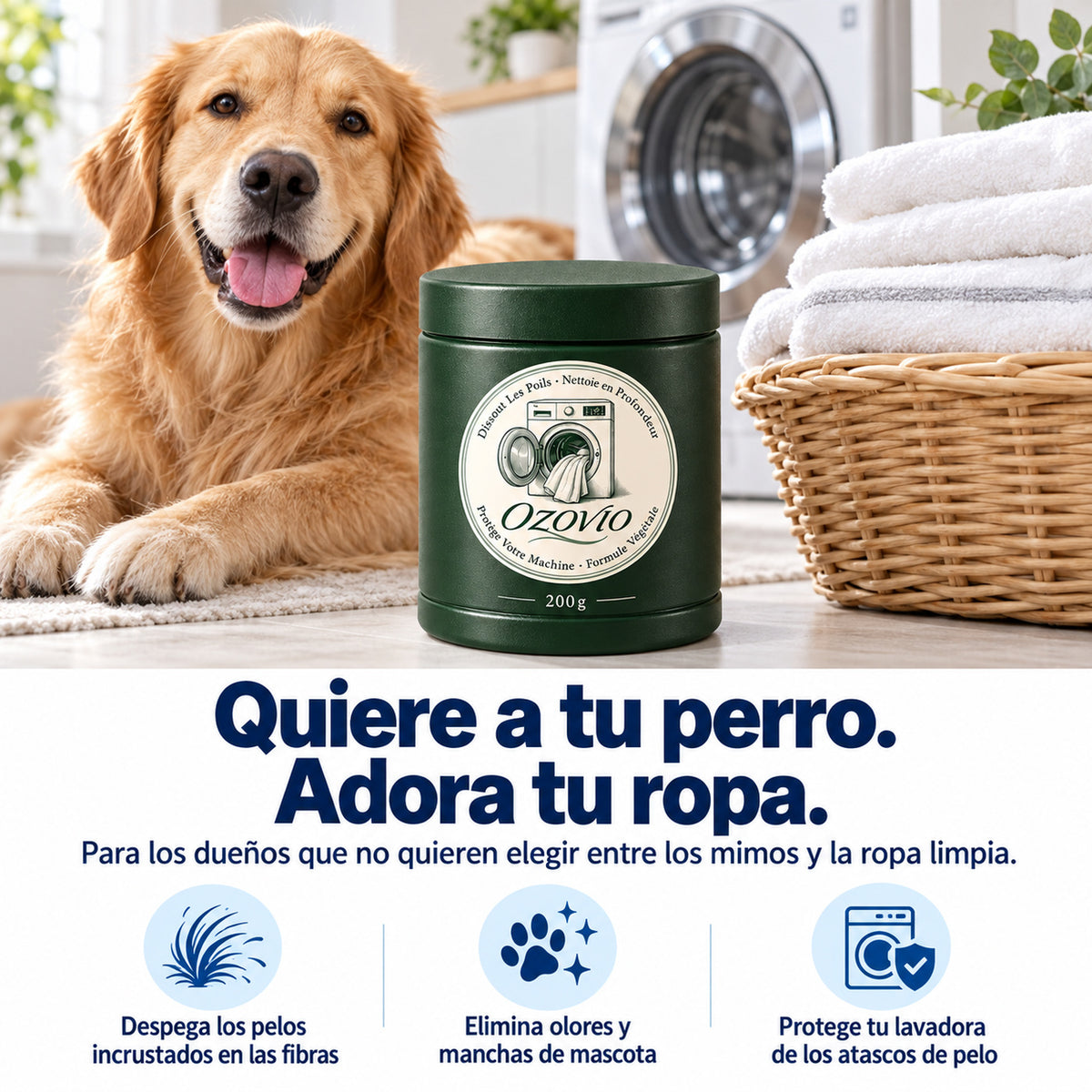 Ama il tuo cane, adora i tuoi vestiti